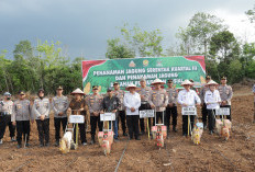 Dukung Swasembada Pangan, Kapolres dan Forkompinda Lubuklinggau Menanam Jagung Bersama 