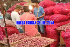Harga Pangan 28 Juli 2024 : Bawang Merah Naik Rp11.750 Jadi Rp40.390 per Kg !