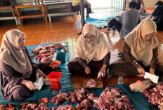 PTPN I Potong 304 Hewan Kurban di Seluruh Wilayah Kerja