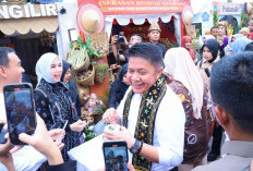 TP PKK Sumsel Dorong Produk Lokal Tembus Pasar Global