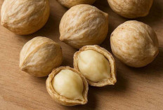 Obati Disentri dan Diare dengan Kemiri