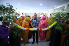 Dorong Ekonomi Kreatif Daerah