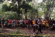 Musi Rawas Gempar : Mulyono Ditemukan Tewas Tragis dengan 8 Luka Tusuk di Sekujur Tubuh !