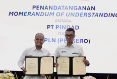 Sinergi Kembangkan Pembangkit Listrik Bersih 