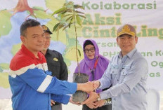 Taman Hutan Raya Baturaja Siap Jadi Agro Wisata