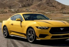 Ford Tarik 4.600 Mustang 2024 : Ini Masalahanya !