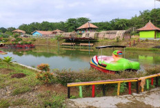 Wisata Keluarga Pondok Oma Leon Baturaja, Liburan Murah dengan Kolam Renang dan Spot Foto Unik