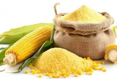 Beras Jagung  Ternyata Dapat Menjaga Kesehatan Jantung, Mata dan Tulang