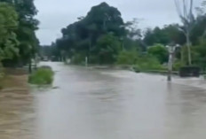 Desa Margo Bakti OKI Terendam Banjir, Dampak Curah Hujan yang Tinggi!