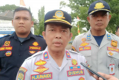 Tambang Illegal Kucing-Kucingan Angkut Batubara 