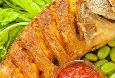 Ikan Kerapu : Ikan Laut Bernilai Tinggi yang Kaya Gizi