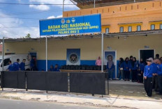 Pendataan Penerima MBG di Sekolah Sesuai Petunjuk BGN 