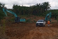 Diduga Rugikan Pendapatan Daerah : PTBSS Ancam Pidanakan Petinggi RMK !