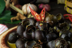 Kreco Kuah: Resep Lezat yang Bikin Nagih, Praktis untuk Dicoba di Rumah