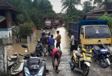 Debit Air Sungai Lematang Meluap, 4 Desa Terendam Banjir