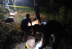 Warga Sungai Keruh Muba Temukan Mayat Wanita: Begini Ciri-cirinya !