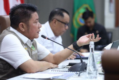 Deru Bentuk Satgas Atasi Banjir Palembang