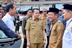 Jokowi Pastikan Harga Kebutuhan Pokok Stabil