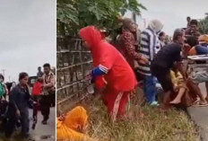 Kecelakaan Tragis di Muratara : Carry Pikap Terguling, Ibu Rumah Tangga Tewas, 2 Luka Berat !