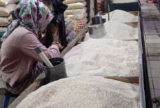 Harga Pangan 9 September 2025: Beras Premium Turun Jadi Rp15.996, Medium Rp13.737 per Kilogram !