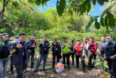  Polisi Bongkar Makam Korban Dugaan Pembunuhan di OKU Selatan  
