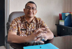 Di Hari Libur Nasional, Gaji ASN Tetap Cair 100 Persen: Bukti Komitmen Pelayanan BKAD OKU