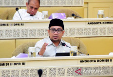 RUU Pemilu Harus Perkuat Sistem Presidensial