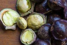 Atasi Ketombe dan Sembuhkan Luka dengan Kulit Jengkol