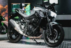 Kawasaki Z250 Model 2026 Meluncur dengan Desain Garang dan Performa Tangguh, Siap Ramaikan Kelas Sport Naked 2