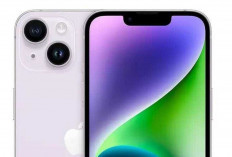 iPhone 14 Plus: Layar Lebar dan Performa Tangguh untuk Pengguna yang Aktif