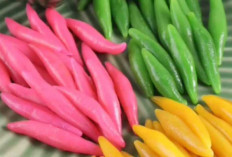 Cenil : Jajanan Tradisional Kenyal Warna-Warni yang Melekat dalam Kuliner Nusantara