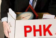 Komisi IX DPR RI Dorong Kemenaker Perkuat Antisipasi PHK di Tengah Konflik Global