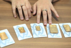 Harga Emas Antam Hari Ini, 25 Oktober 2025: Turun Tipis Rp4.000 Jadi Rp2,35 Juta per Gram !