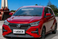 Daihatsu Catat Kinerja Positif, Gran Max hingga Ayla Dongkrak Penjualan 12.531 Unit