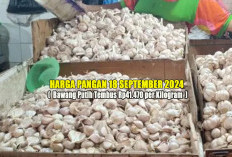 Harga Pangan 18 September 2024 : Bawang Putih Naik Lagi, Tembus Rp41.470 per Kilogram !