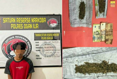 Gagal Edarkan Ganja, Warga Timbangan Indralaya Kini ditangkap Polisi