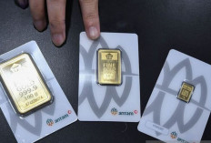 Harga Emas Antam Hari Ini 20 Mei 2025:  Anjlok Rp23.000 Kembali ke Level Rp1,871 Juta per Gram !