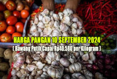  Harga Pangan 10 September 2024 : Bawang Putih Melejit Capai Rp40.580 per Kilogram !