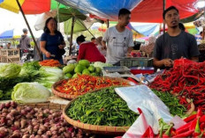 Harga Cabai Rawit Tembus Rp82.450, Telur Ayam Ras Bertahan di Rp30.500 per Kilogram
