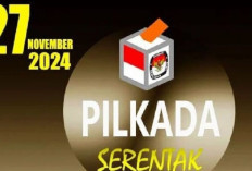 Pilkada Ulang Dilakukan Maksimal 2 Tahun Bila Kotak Kosong Menang !