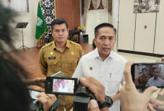 Palembang Optimalkan Tim Terpadu Cegah Karhutla 