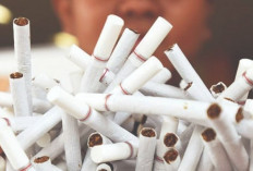 2024, Cukai Rokok Kembali Naik, Ini Kata Pedagang !