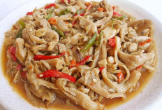 Tumis Jamur Tiram, Lauk Sehari-hari yang Lezat, Sehat, dan Mudah Dibuat