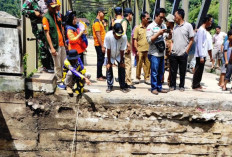 Dua Jembatan Putus Diterjang Luapan Sungai Teriti