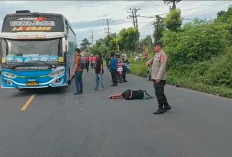 Tragis! Kecelakaan Maut di Depan Pemkot Prabumulih, Pengendara Motor Tewas Terlindas Bus Telaga Indah