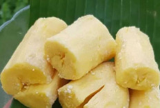 Tape Singkong untuk Penderita Maag, Aman atau Harus Dihindari?