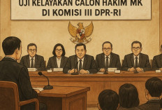 Bukan Calon Titipan, Inosentius Samsul Disetujui Jadi Hakim MK