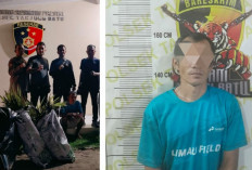 Pencuri Bibit Sawit dan Kurma di Ogan Ilir Tertangkap