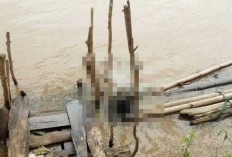 Heboh Warga Temukan Sosok Mayat di Jembatan Setan Sungai Ogan, Ternyata Sosok Ini