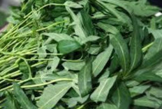 Cegah Keriput dan Rematik dengan Daun Singkong